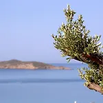 Tatil Evi Elia Privileged Andros ανδροσ *
