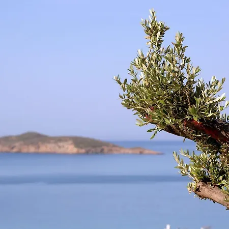 Сasa de vacaciones Elia Privileged Andros ανδροσ *