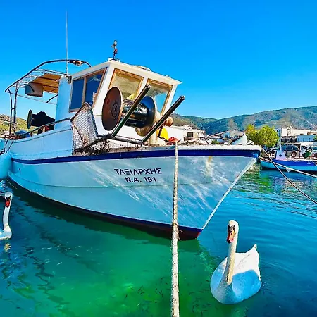 Elia Privileged Andros ανδροσ *