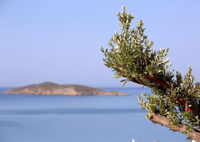 Сasa de vacaciones Elia Privileged Andros ανδροσ *